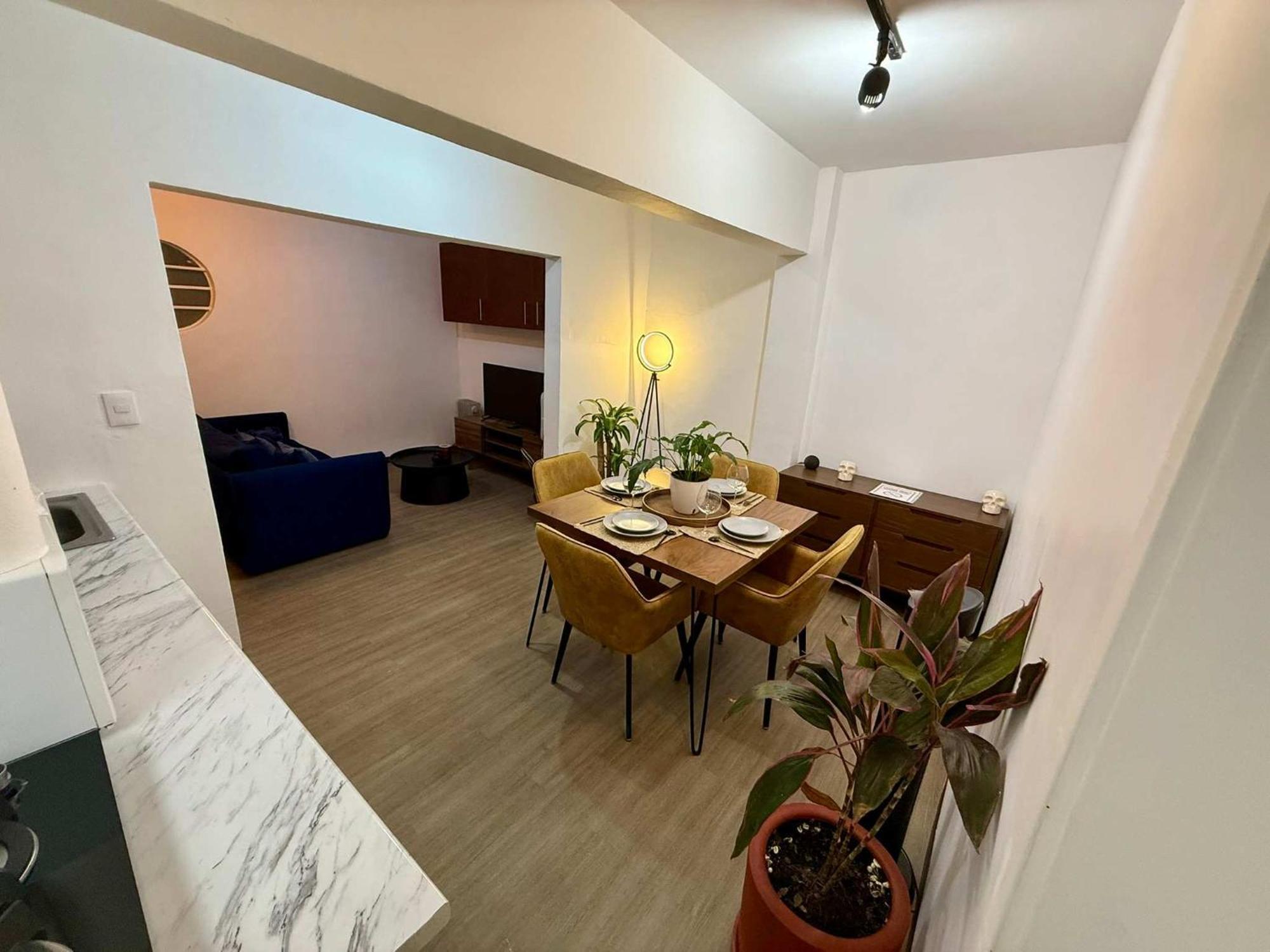 Apartment 2 Ground Floor In Hipodromo Condesa Mexico City